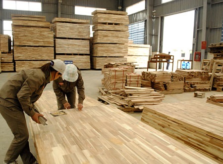 Sản xuất gỗ cao su