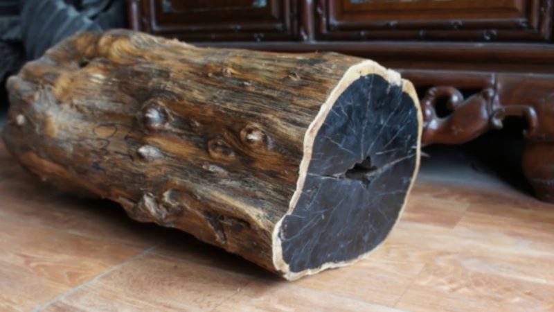 Đặc điểm của gỗ mun