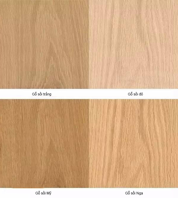 Cách phân biệt gỗ sồi