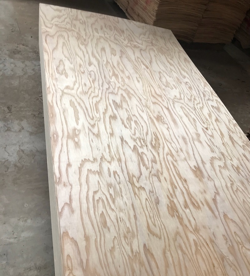 Plywood gỗ tần bì